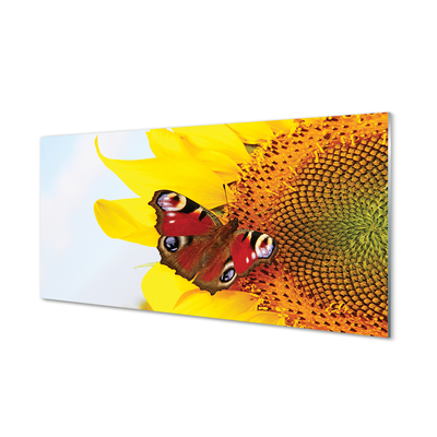 Tableaux sur verre acrylique Papillon de tournesol