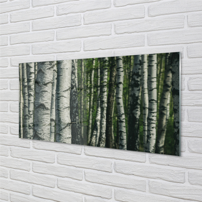 Tableaux sur verre acrylique Forêt de bouleaux