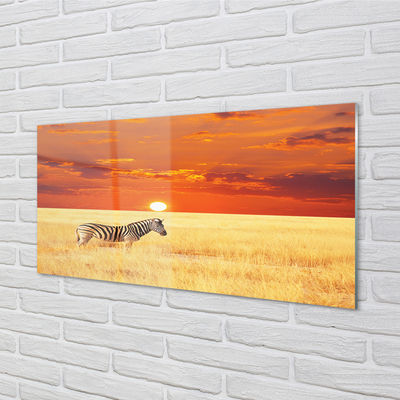 Tableaux sur verre acrylique Zebra coucher du soleil sur le terrain