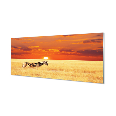 Tableaux sur verre acrylique Zebra coucher du soleil sur le terrain