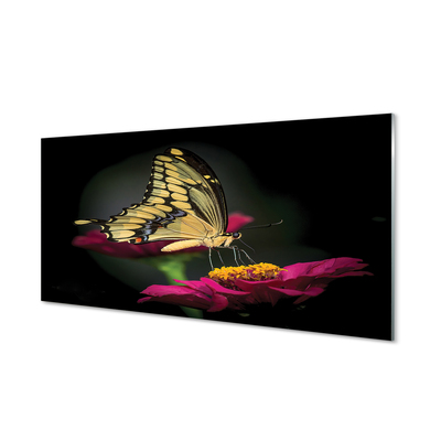 Tableaux sur verre acrylique Papillon sur une fleur