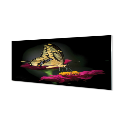 Tableaux sur verre acrylique Papillon sur une fleur