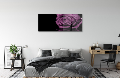 Tableaux sur verre acrylique Rose pourpre