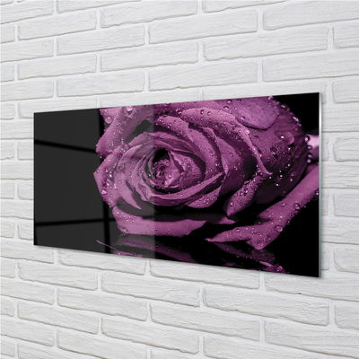 Tableaux sur verre acrylique Rose pourpre