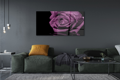 Tableaux sur verre acrylique Rose pourpre