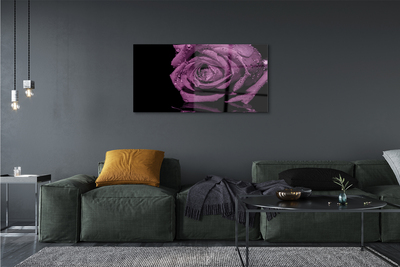 Tableaux sur verre acrylique Rose pourpre