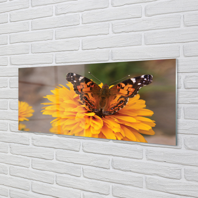 Tableaux sur verre acrylique Fleur papillon coloré