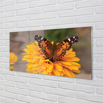 Tableaux sur verre acrylique Fleur papillon coloré