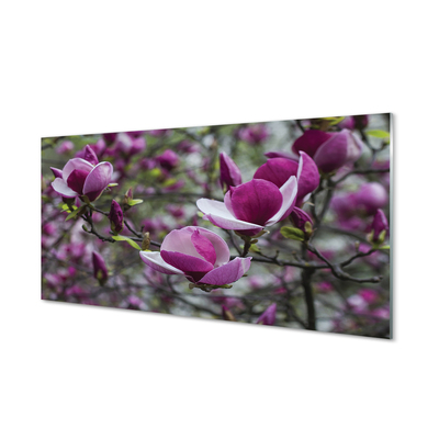 Tableaux sur verre acrylique Magnolias violet