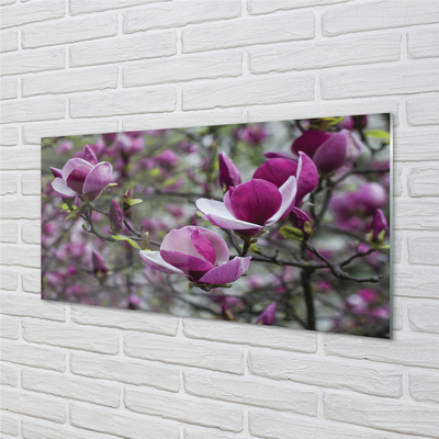 Tableaux sur verre acrylique Magnolias violet