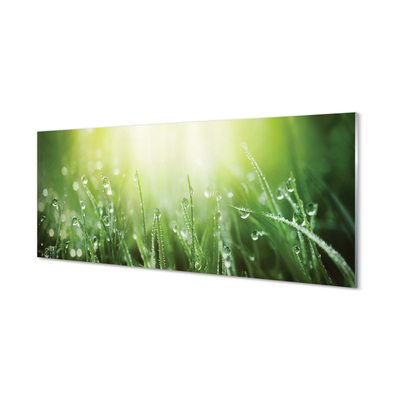 Tableaux sur verre acrylique Gouttes de soleil herbe