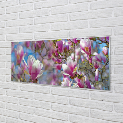 Tableaux sur verre acrylique Arbre magnolias