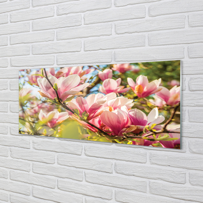 Tableaux sur verre acrylique Magnolias rose