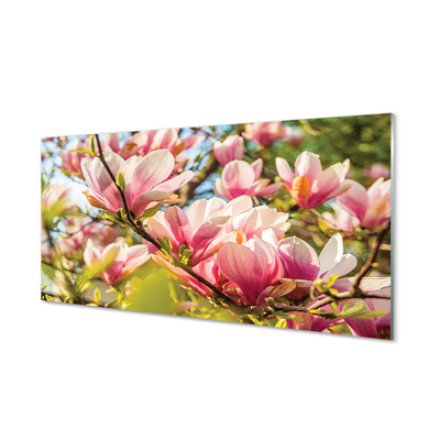 Tableaux sur verre acrylique Magnolias rose