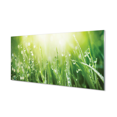 Tableaux sur verre acrylique Gouttes de soleil herbe