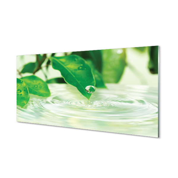 Tableaux sur verre acrylique Les gouttes d'eau de feuilles
