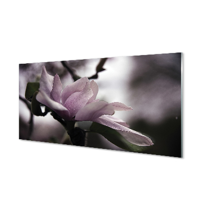 Tableaux sur verre acrylique Magnolia
