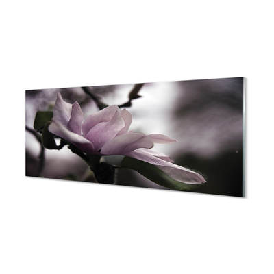 Tableaux sur verre acrylique Magnolia