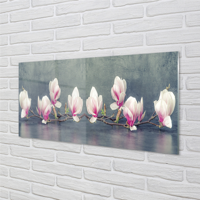 Tableaux sur verre acrylique Branche magnolias