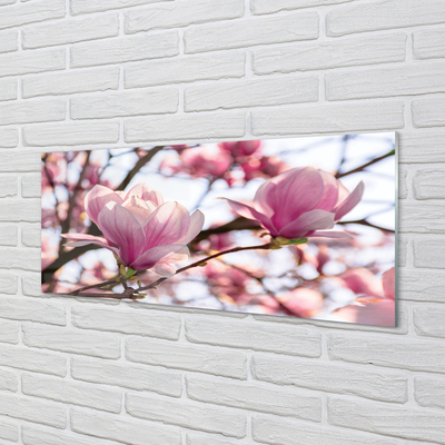 Tableaux sur verre acrylique Arbre magnolias