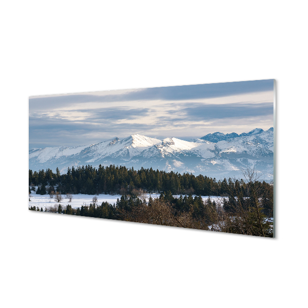 Tableaux sur verre acrylique Montagne hiver