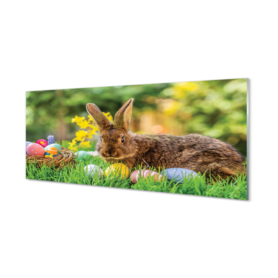 Tableaux sur verre acrylique Œufs de lapin prairie