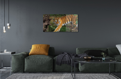 Tableaux sur verre acrylique Tiger woods