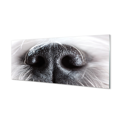 Tableaux sur verre acrylique Nez de chien