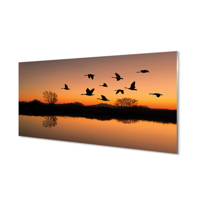 Tableaux sur verre acrylique Coucher de soleil oiseaux volants