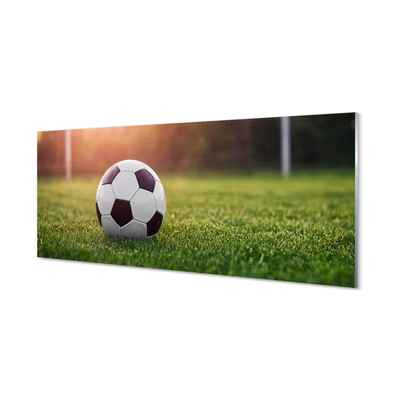 Tableaux sur verre acrylique Passerelle d'herbe de football