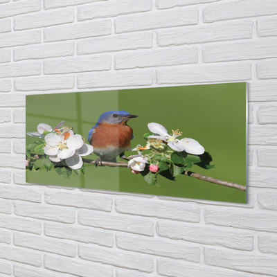 Tableaux sur verre acrylique Fleurs perroquet coloré