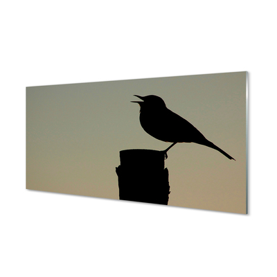 Tableaux sur verre acrylique Oiseau noir