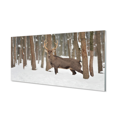 Tableaux sur verre acrylique Cerf forêt d'hiver