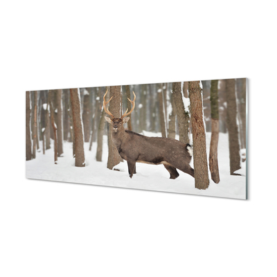 Tableaux sur verre acrylique Cerf forêt d'hiver