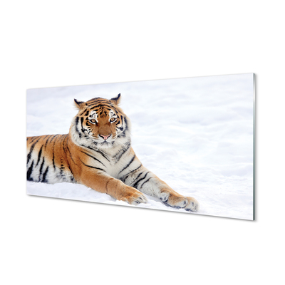 Tableaux sur verre acrylique Hiver tiger