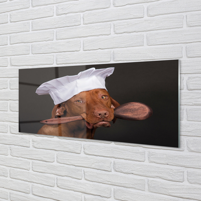 Tableaux sur verre acrylique Chef de chien