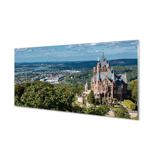 Tableaux sur verre acrylique Allemagne panorama du château de la ville