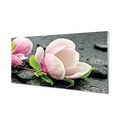 Tableaux sur verre acrylique Magnolia pierres