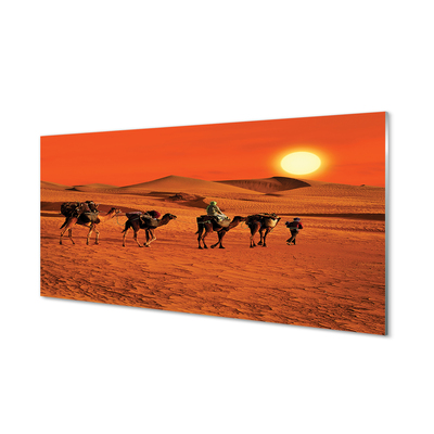 Tableaux sur verre acrylique Chameaux gens ciel soleil du désert