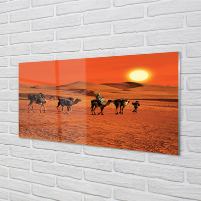 Tableaux sur verre acrylique Chameaux gens ciel soleil du désert