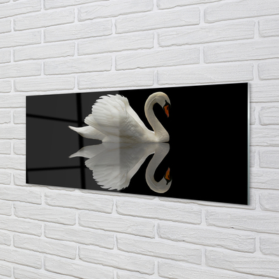 Tableaux sur verre acrylique Swan dans la nuit