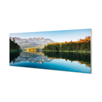 Tableaux sur verre acrylique Lac forestier allemagne montagne