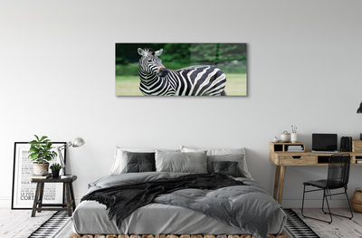Tableaux sur verre acrylique Boîte zebra