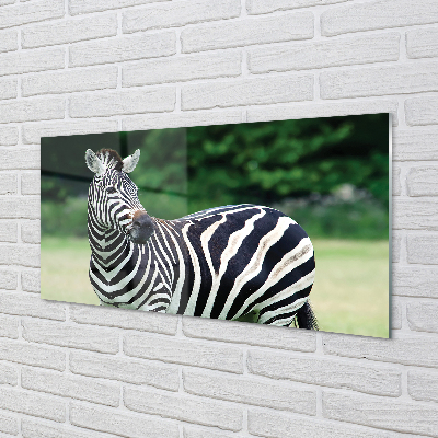 Tableaux sur verre acrylique Boîte zebra