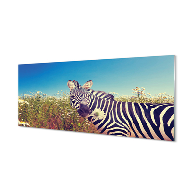 Tableaux sur verre acrylique Fleurs zebra