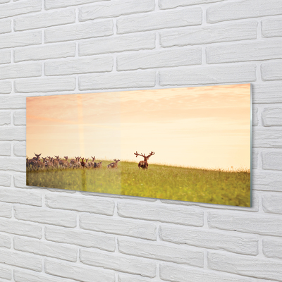 Tableaux sur verre acrylique Un troupeau de cerfs lever du soleil sur le terrain