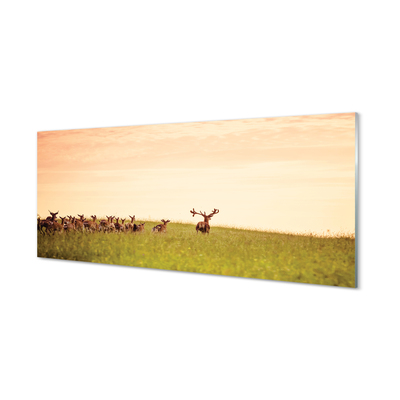 Tableaux sur verre acrylique Un troupeau de cerfs lever du soleil sur le terrain