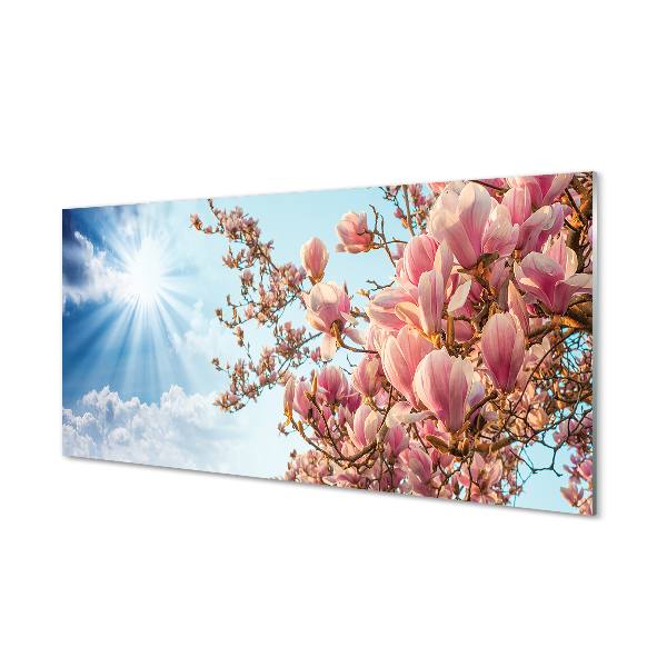 Tableaux sur verre acrylique Ciel soleil magnolia