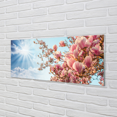 Tableaux sur verre acrylique Ciel soleil magnolia