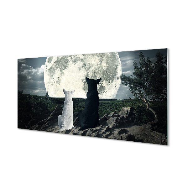 Tableaux sur verre acrylique Loups forêt lune